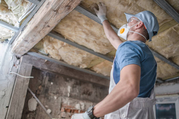 Best Insulation Installation Services in Bainbridge, OH