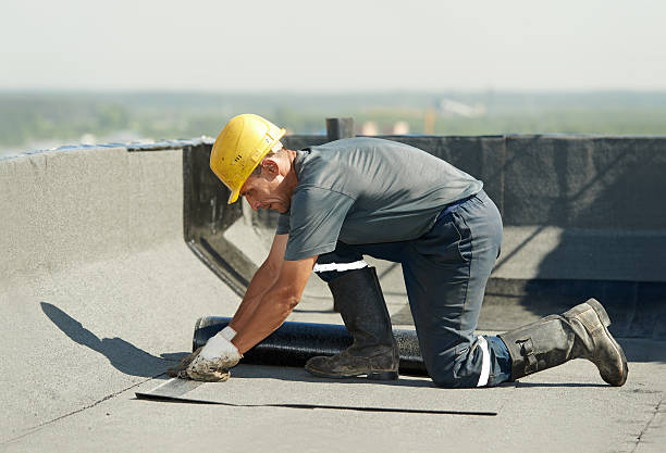 Best Insulation Maintenance and Repair in Bainbridge, OH